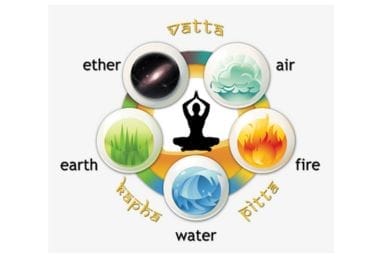 ayurveda body types ayurveda body types