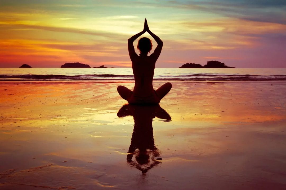 yoga meditation naturopathy dhyana yoga sanctuary