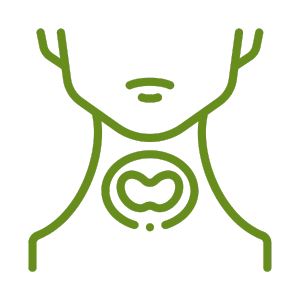 Thyroid