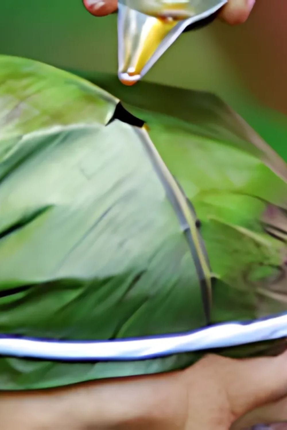 Hair Loss Ayurveda Treatment